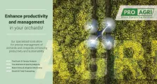 Enhance productivity and management in your orchards! | Pro-Agri Drone Processing Services