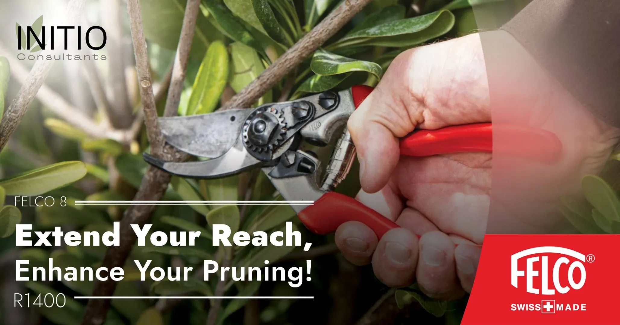 FELCO 8 | Extend your reach, enhance your pruning | Initio Consultants