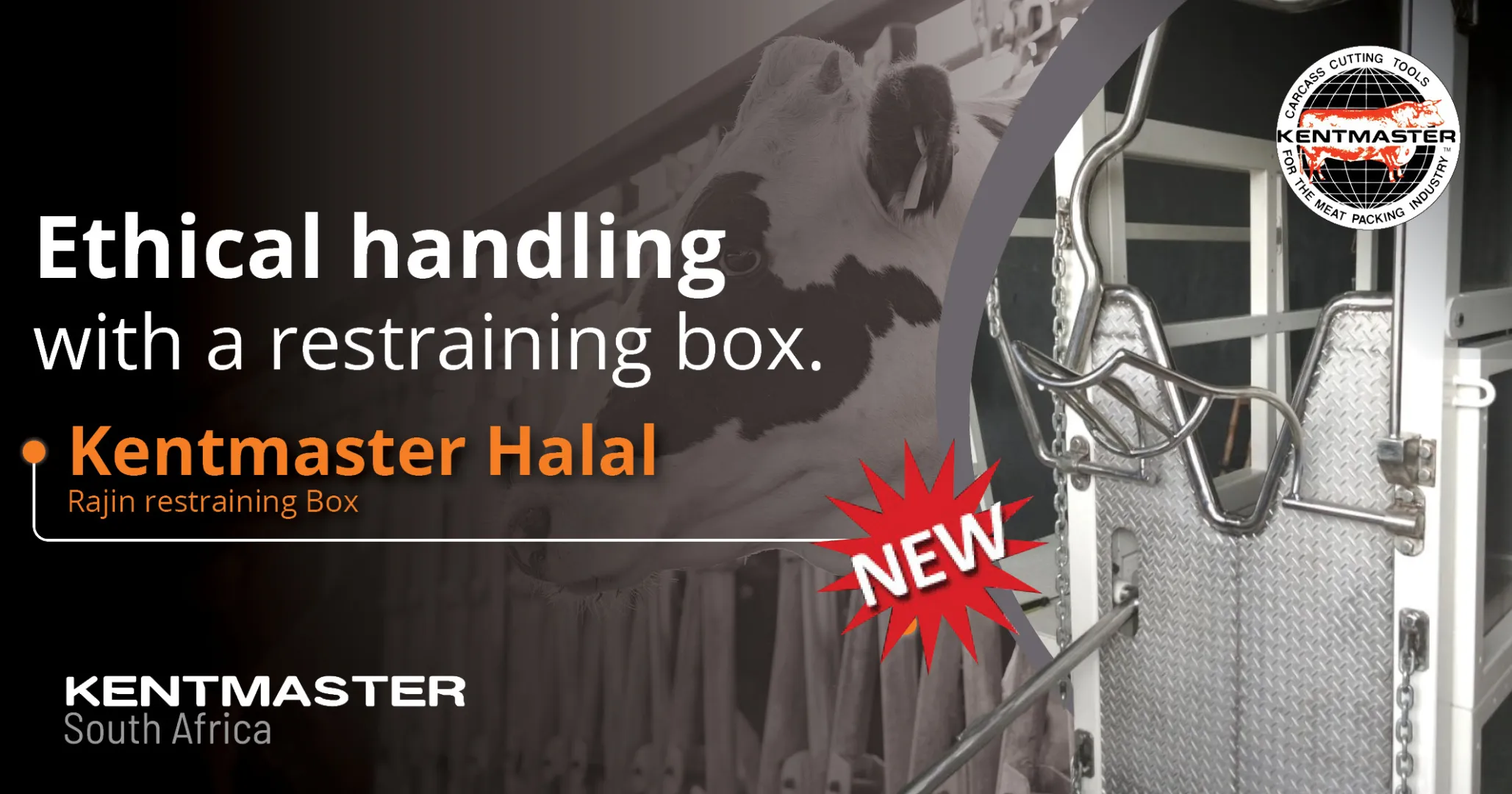Ethical handling with Kentmaster's Rajin restraining box