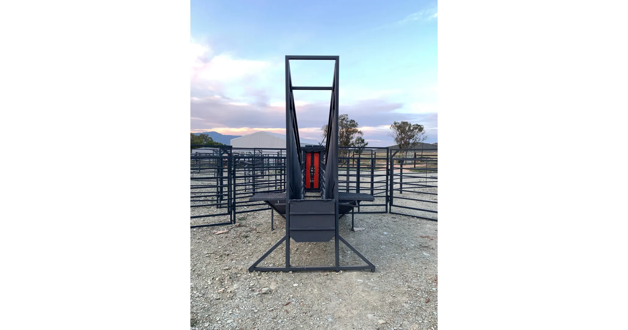 Static cattle loading ramp | Bees 4 m vasstaande laaibank | Algar