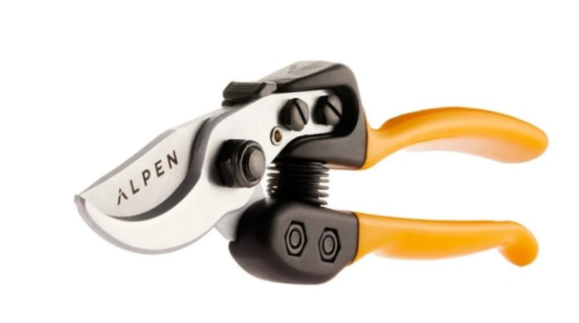 Gelbhorn 150 | Pruner | Initio Consultants