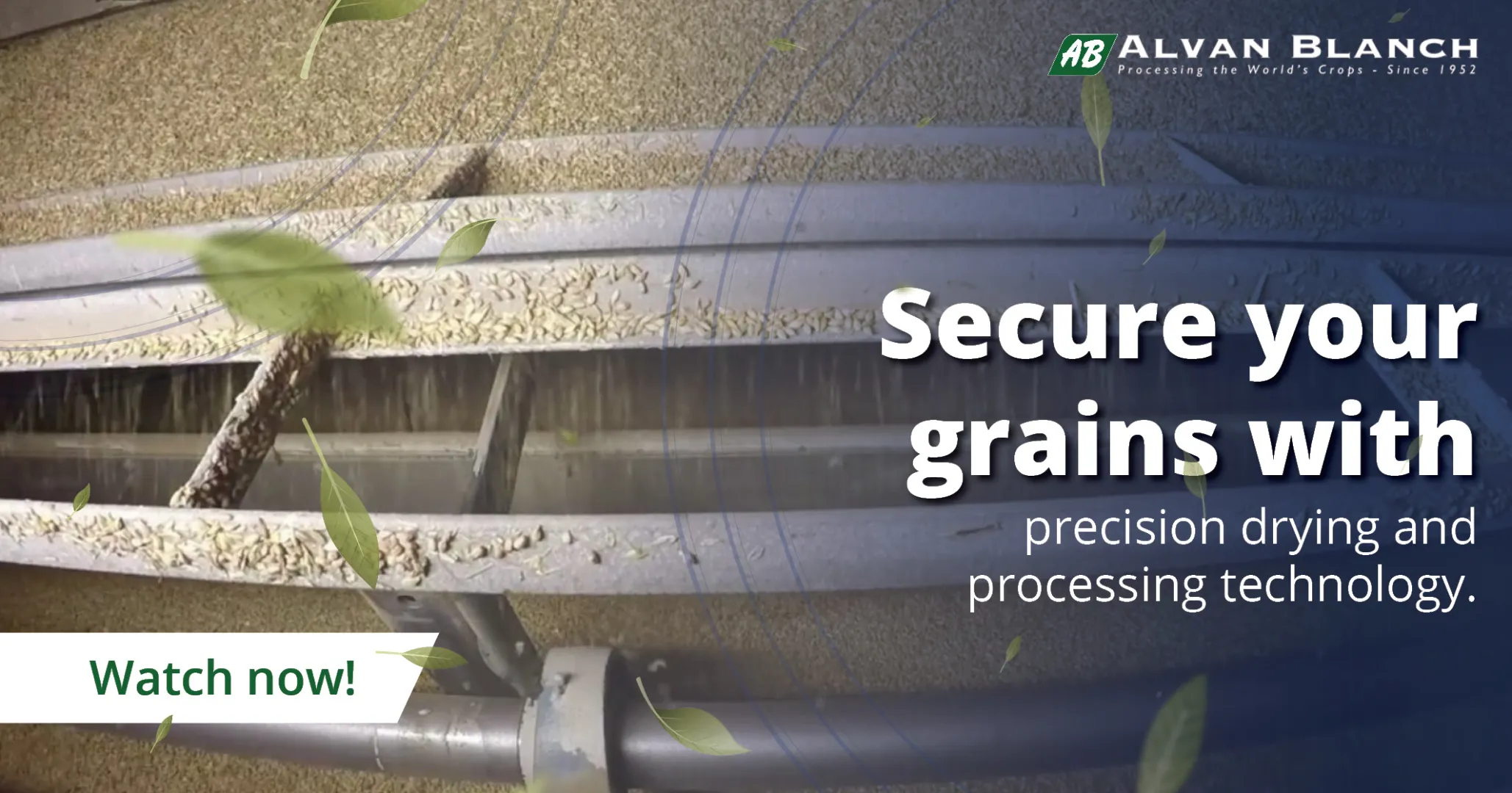 Secure your grains with precision drying and processing technology from Alvan Blanch.