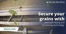 Secure your grains with precision drying and processing technology from Alvan Blanch.