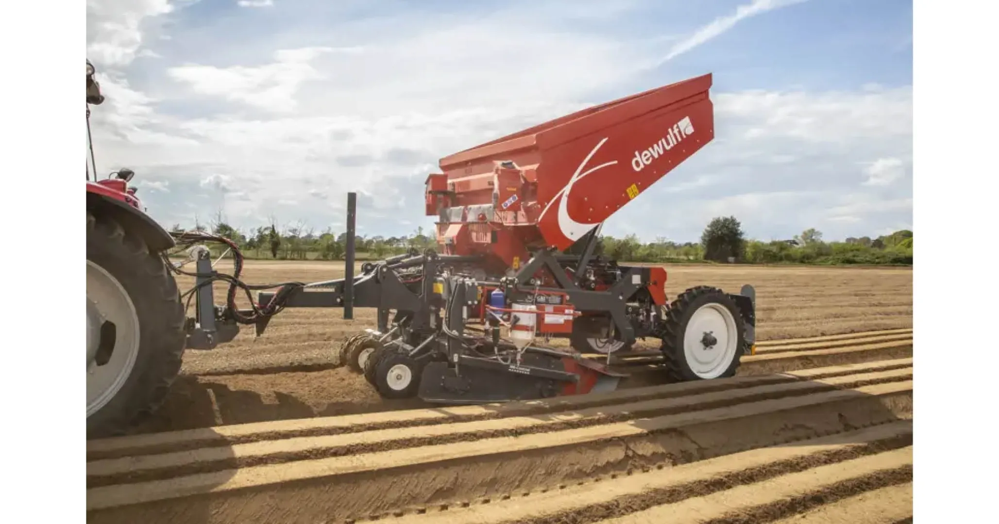 Dewulf Structural 30 belt planter | Rebelo Agricultural Group