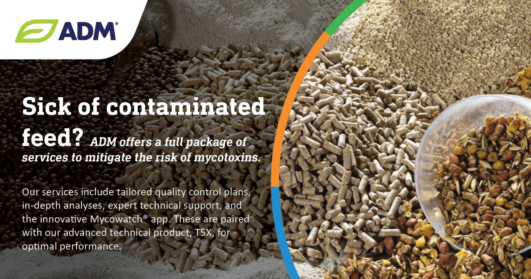 T5X®: A complete approach of mycotoxin risk management | ADM Nutrition
