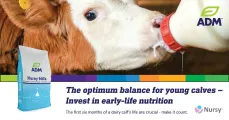 Nursy Pro® milk replacer | ADM Nutrition