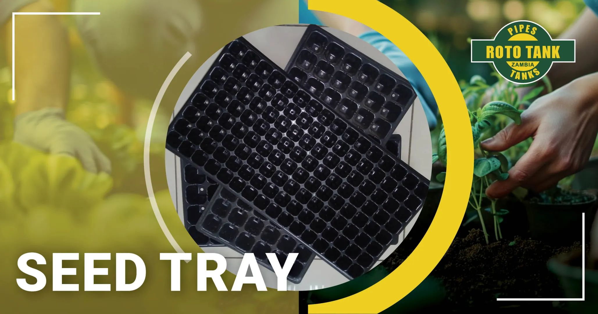 Seed Trays Designed for Healthy Germination | Roto Tanks