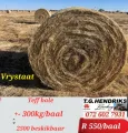 Teff bale +- 300kg\baal | T.G. Hendriks