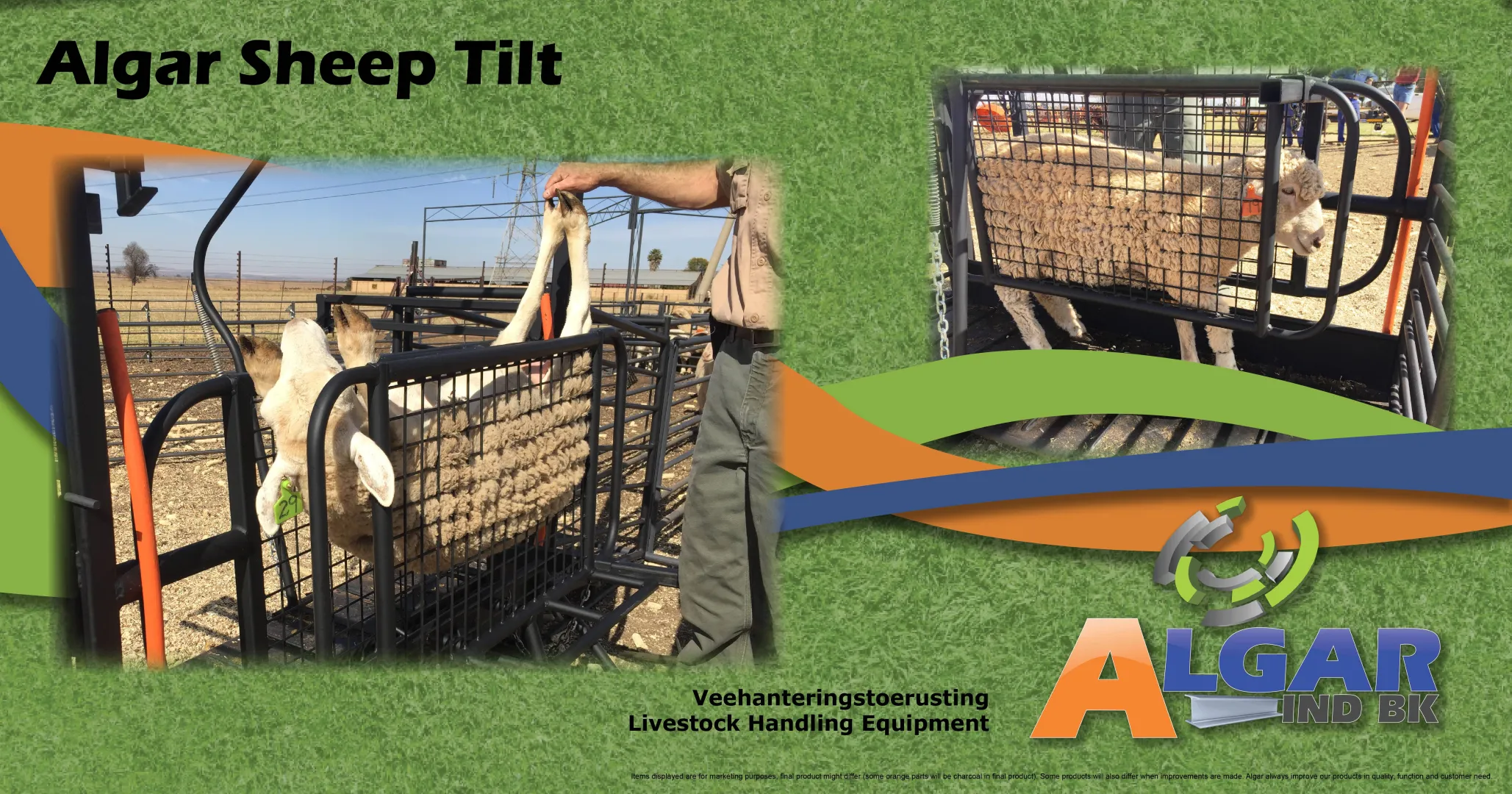 Sheep tilt | Skaapkantelaar | Algar