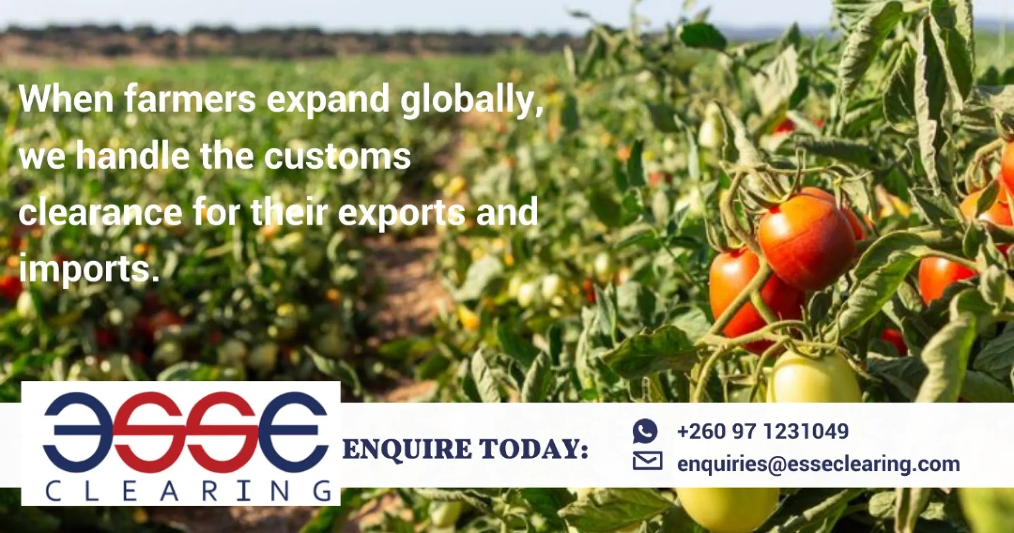 Clearing the way for global farming | ESSE Clearing