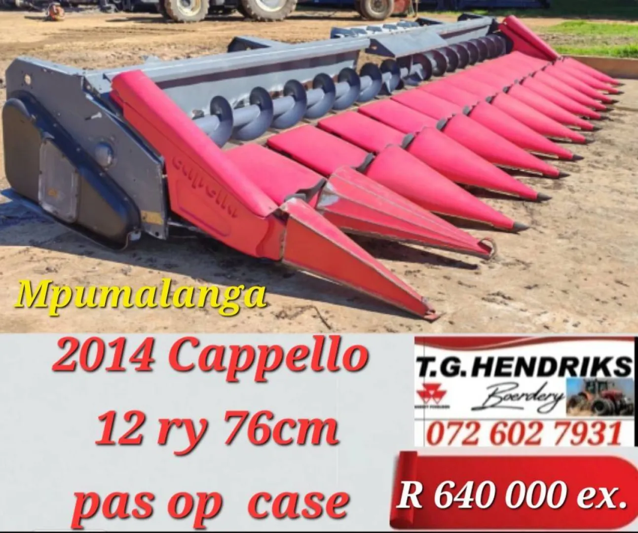 2014 Cappello 12 ry 76cm | T.G. Hendriks