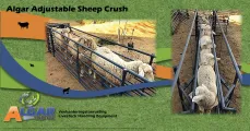 Adjustable sheep crush | Skaap verstelbaredrukgang | Algar