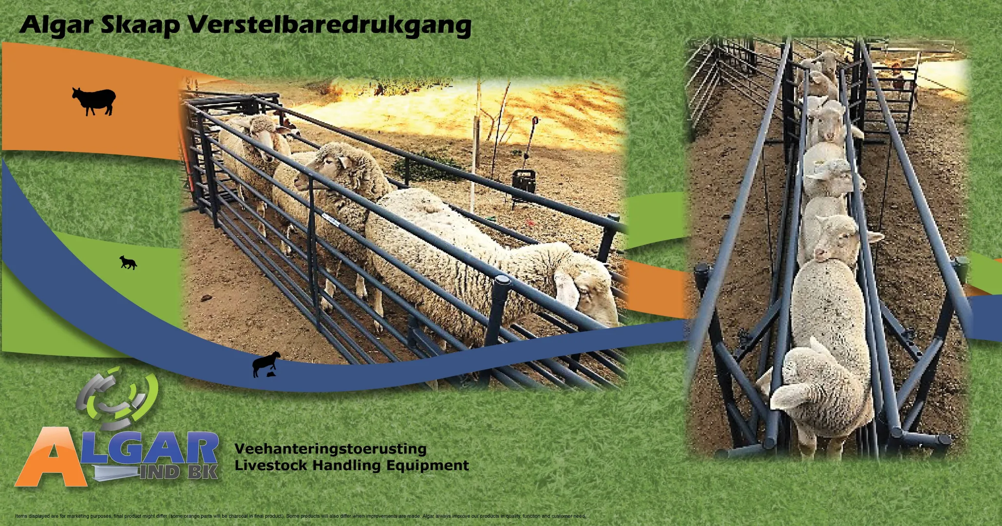 Adjustable sheep crush | Skaap verstelbaredrukgang | Algar