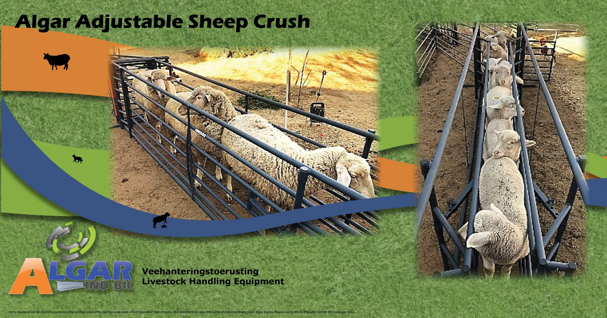 Adjustable sheep crush | Skaap verstelbaredrukgang | Algar