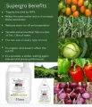 SuperGro liquid fertilizer