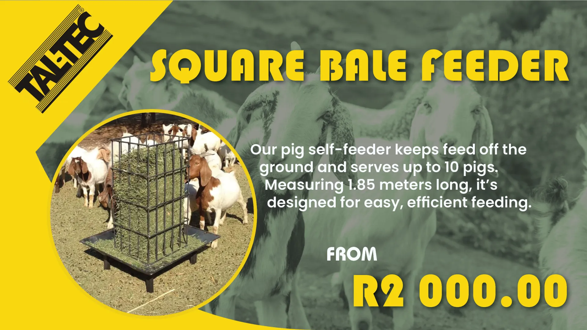 The square bale feeder is designed for sheep and goats, fitting standard square bales | Tal-Tec