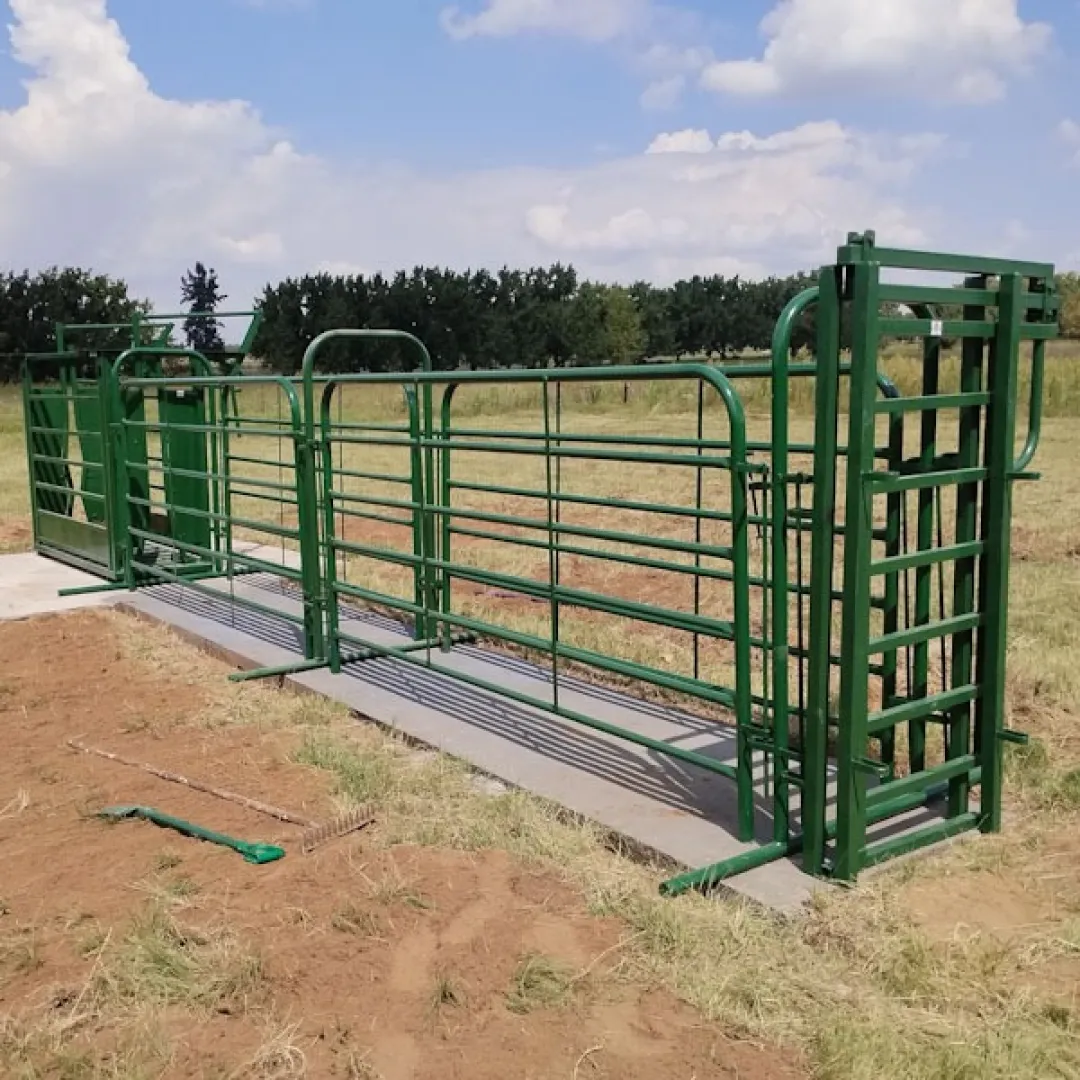 Cattle Working Crate Combo | VDW Engineering
