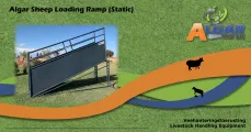 Sheep loading ramp (Static) | Skaap laaibank (Staties) | Algar