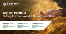 Arylex® Portfolio – putting invasive weed and grass control first | Corteva Agriscience™