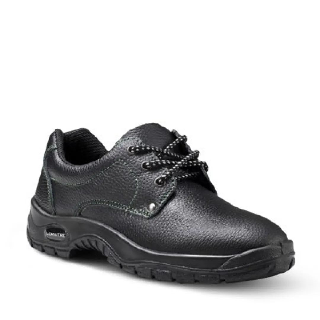 Robust safety boot | LEMAITRE Maxeco Range | BBF Safety Group