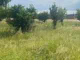 Farm plot for sale
