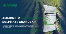 Ammonium sulphate granular | Omnia | Omnia Zambia