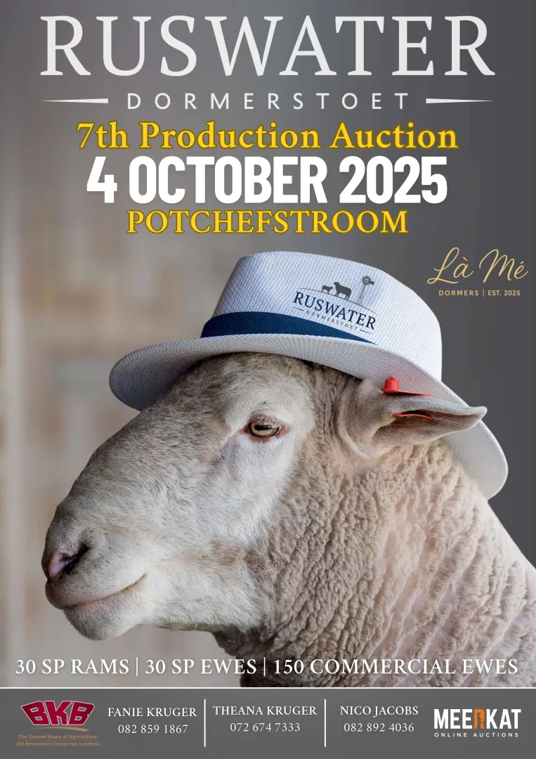 Ruswater Dormer Stoet 7th Production Auction