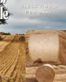 Pragtige teff bale