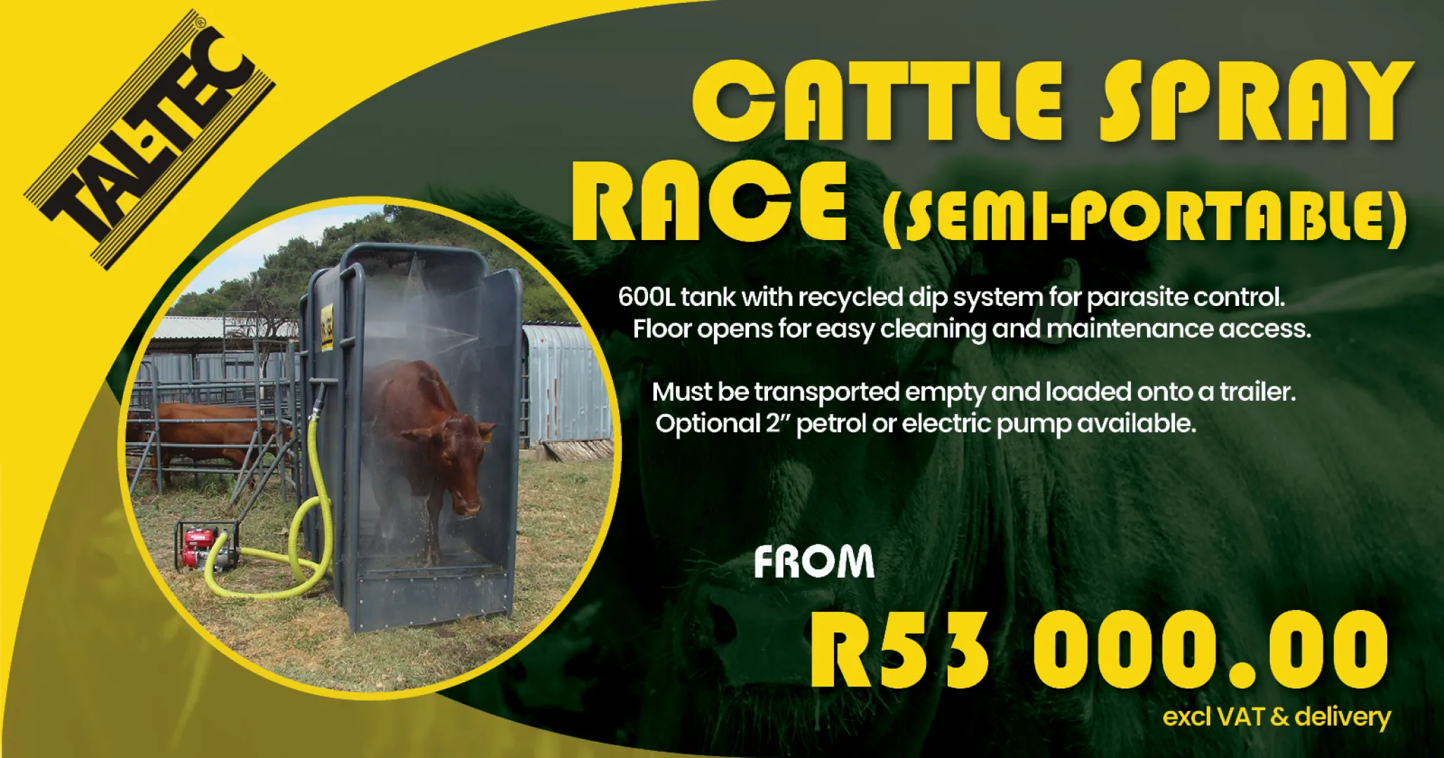 Cattle Spray Race (Semi-Portable) | Tal-Tec