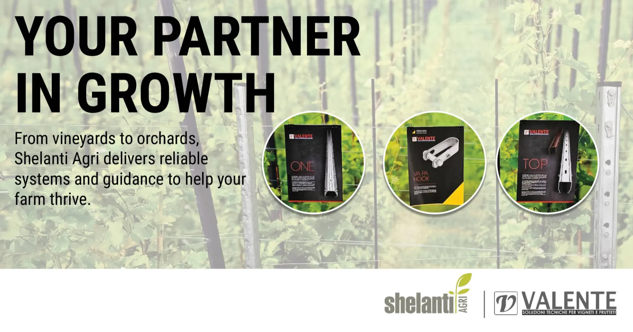 Shelanti Agri: Your partner in growth