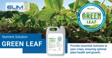 Elim Green Leaf Nutrient Solution | Essential nutrients for your crops | Elim Fertiliser (Pty) Ltd