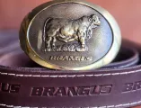 Genuine leather belt