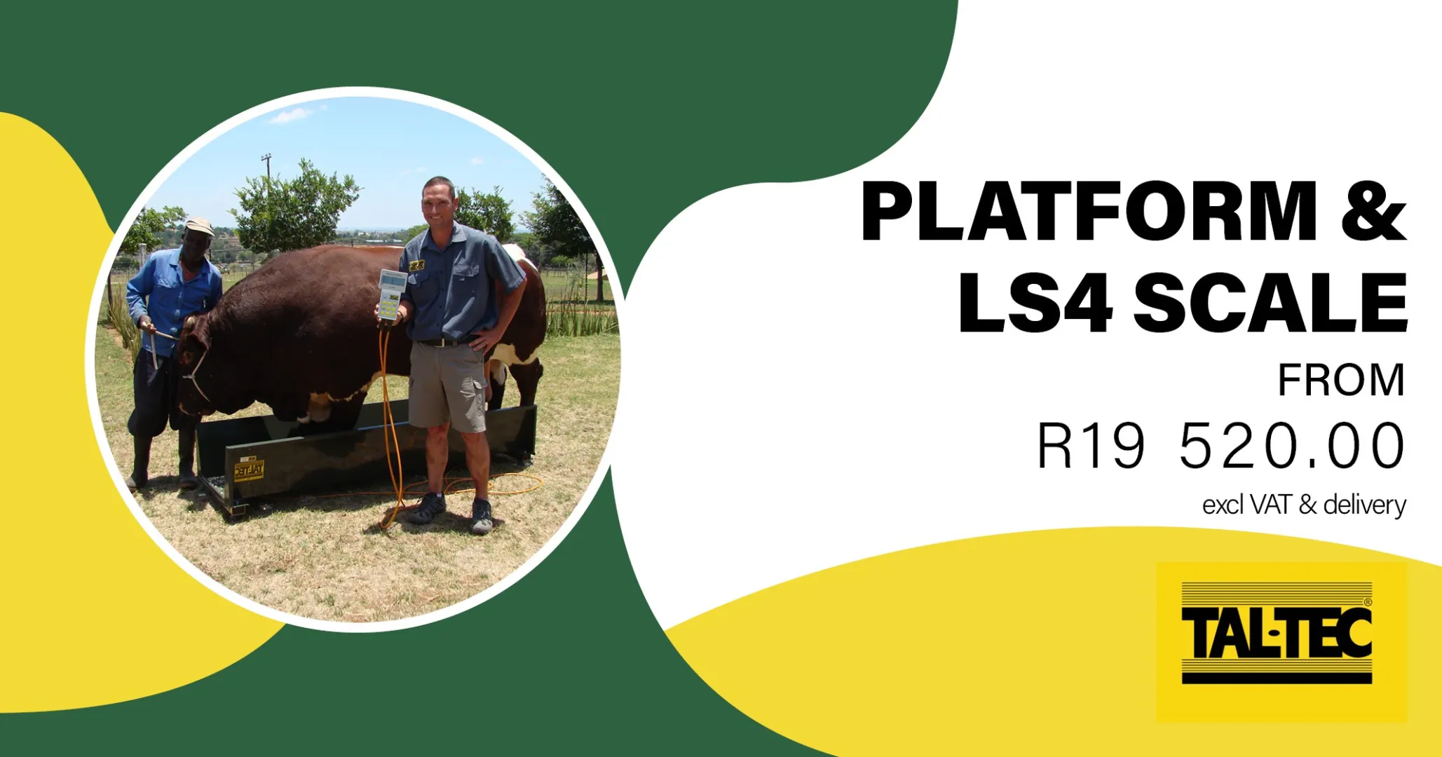 Weigh Smarter: Platform &amp; LS4 Scale Precision | Tal-Tec