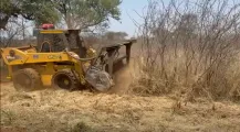 Skidsteer met mulsher | Agrimar