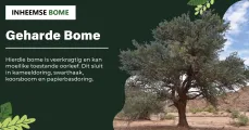 Geharde Bome | Inheemse Bome