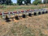 8 ry .91 Duisendpoot | Agrimar