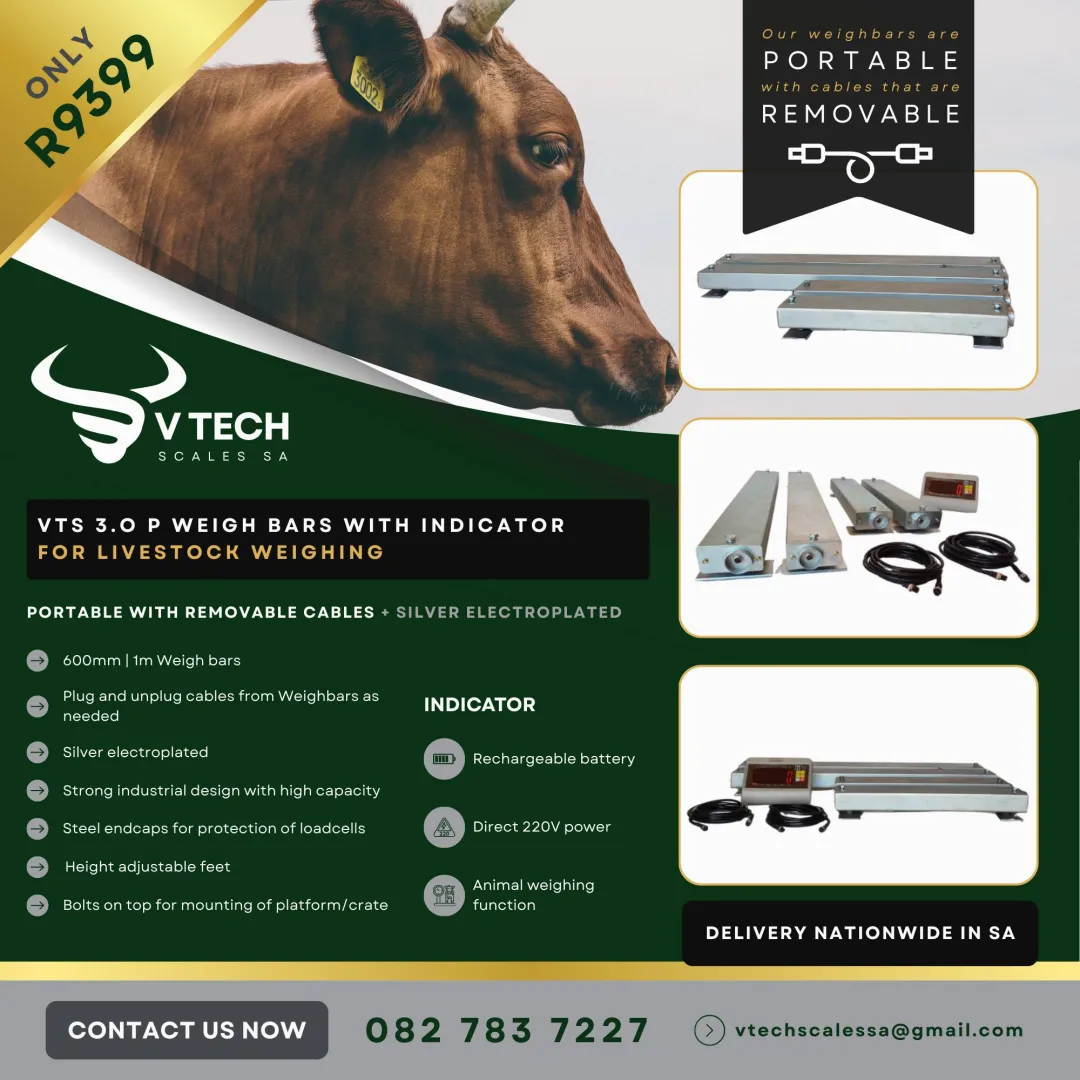 Cattle Scale - Weigh bars and Indicator