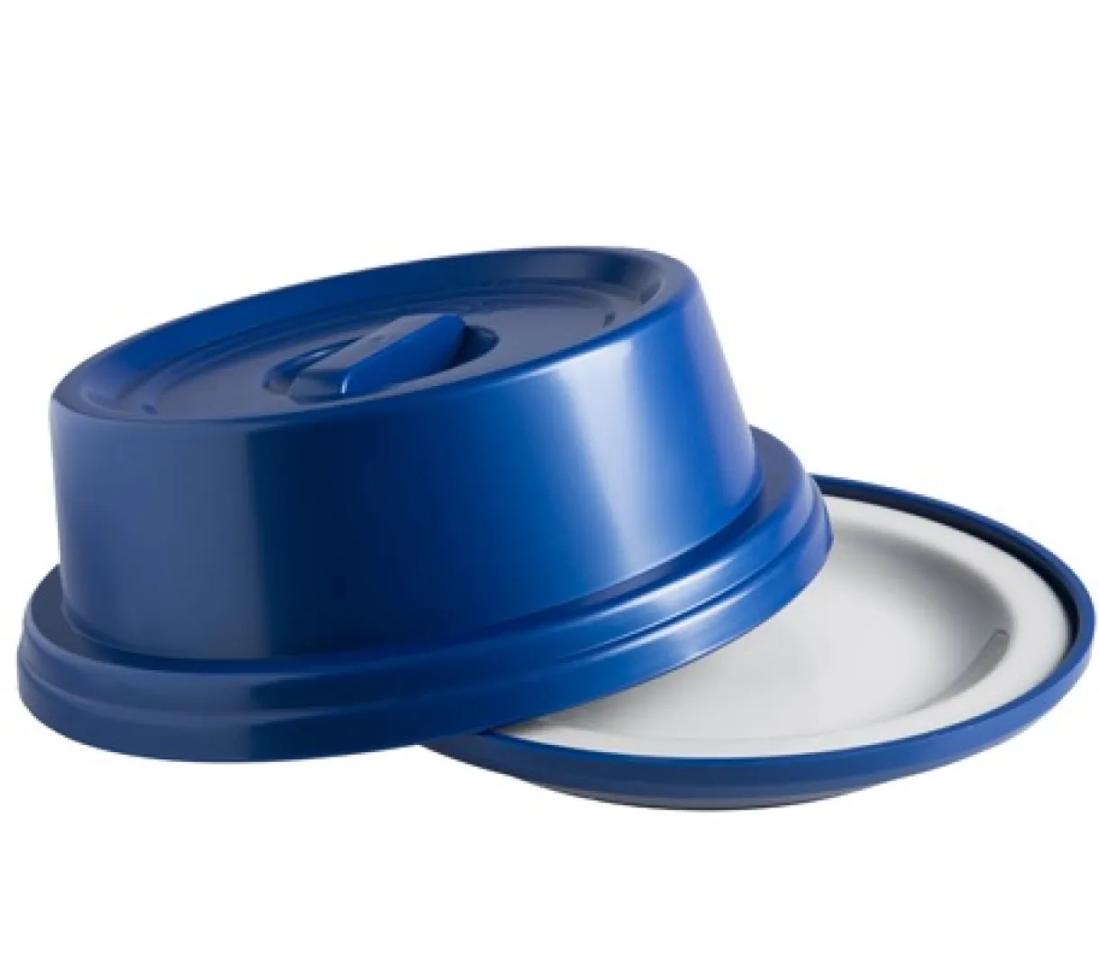BSW0197BLUE&amp; BSW0197.DBLUE INSULATED BASE &amp; DOME | Blue Swallow