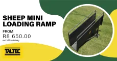 Sheep Mini Loading Ramp (2m) | Tal-Tec