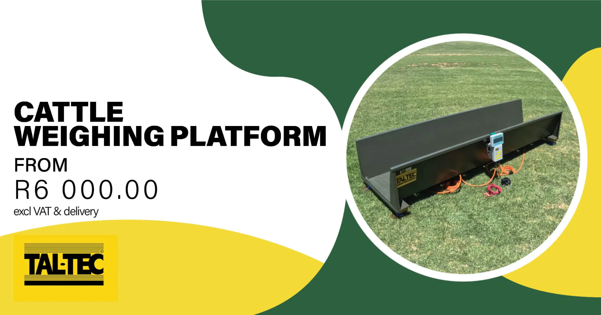 The Cattle weighing platform | Tal-Tec