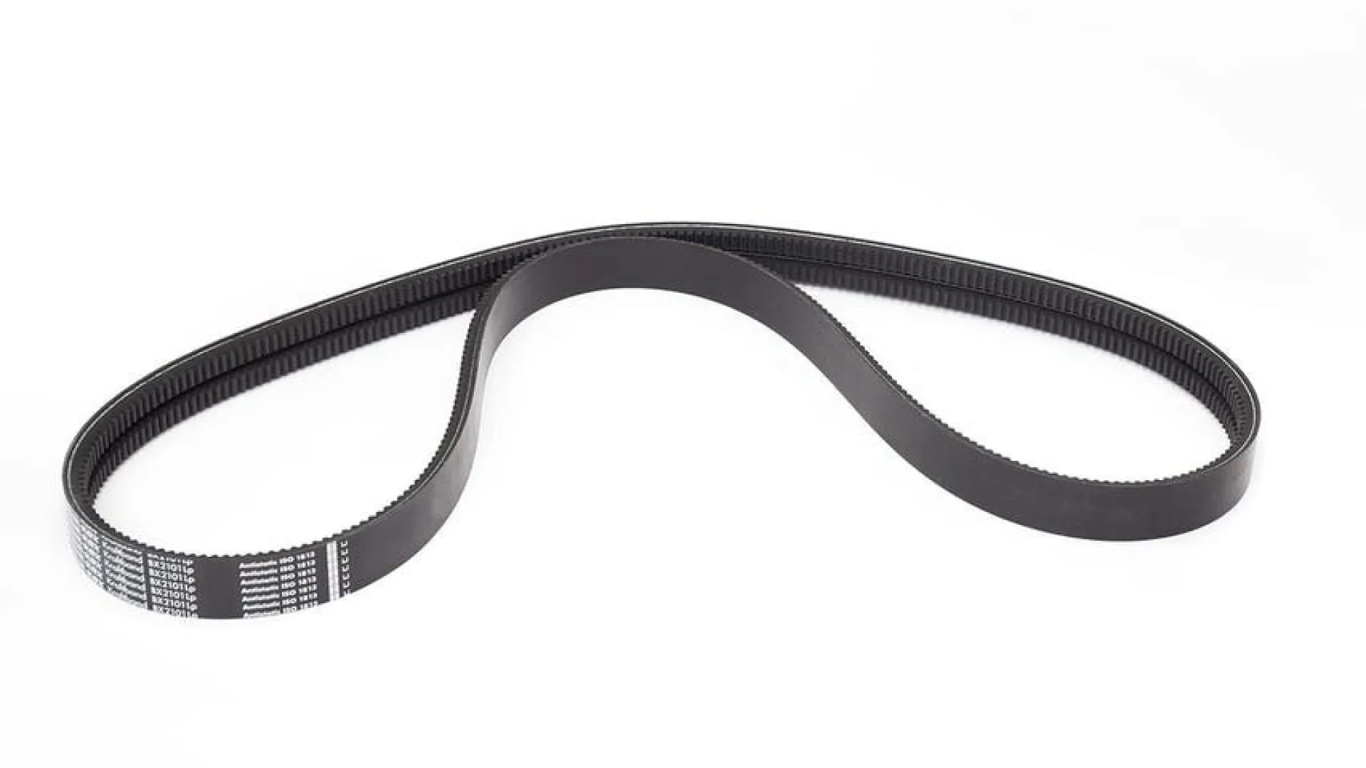 Drive Belt 2BX81, LT20 | Wood-Mizer
