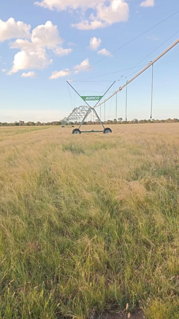 7,5 ha Agrico spilpunt | Agrimar