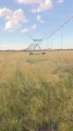 7,5 ha Agrico spilpunt | Agrimar