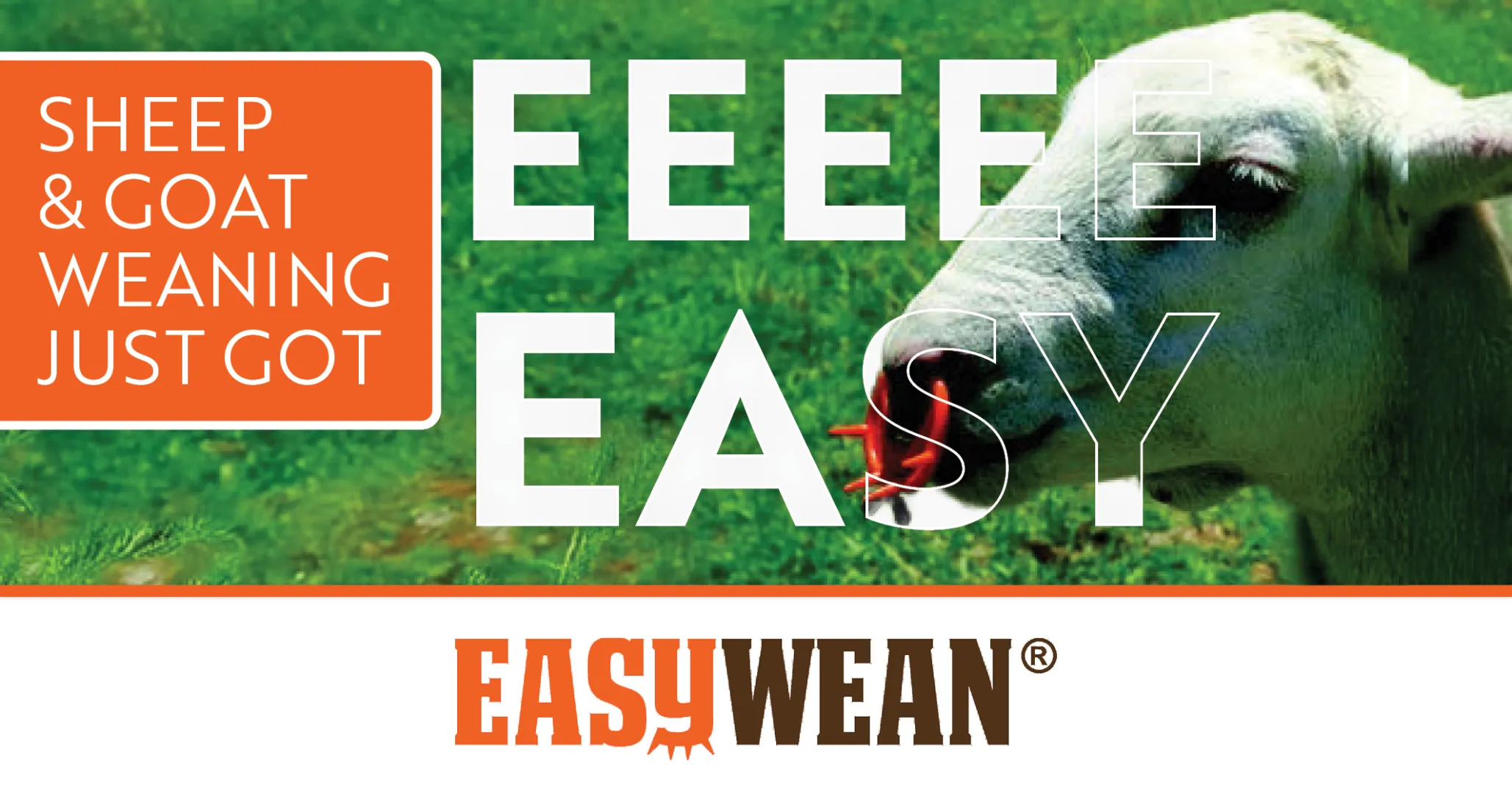 Sheep &amp; goat weaning just got easy! | EasyWean®