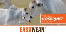 Farm smarter! | Wean with ease | No stress | EasyWean®
