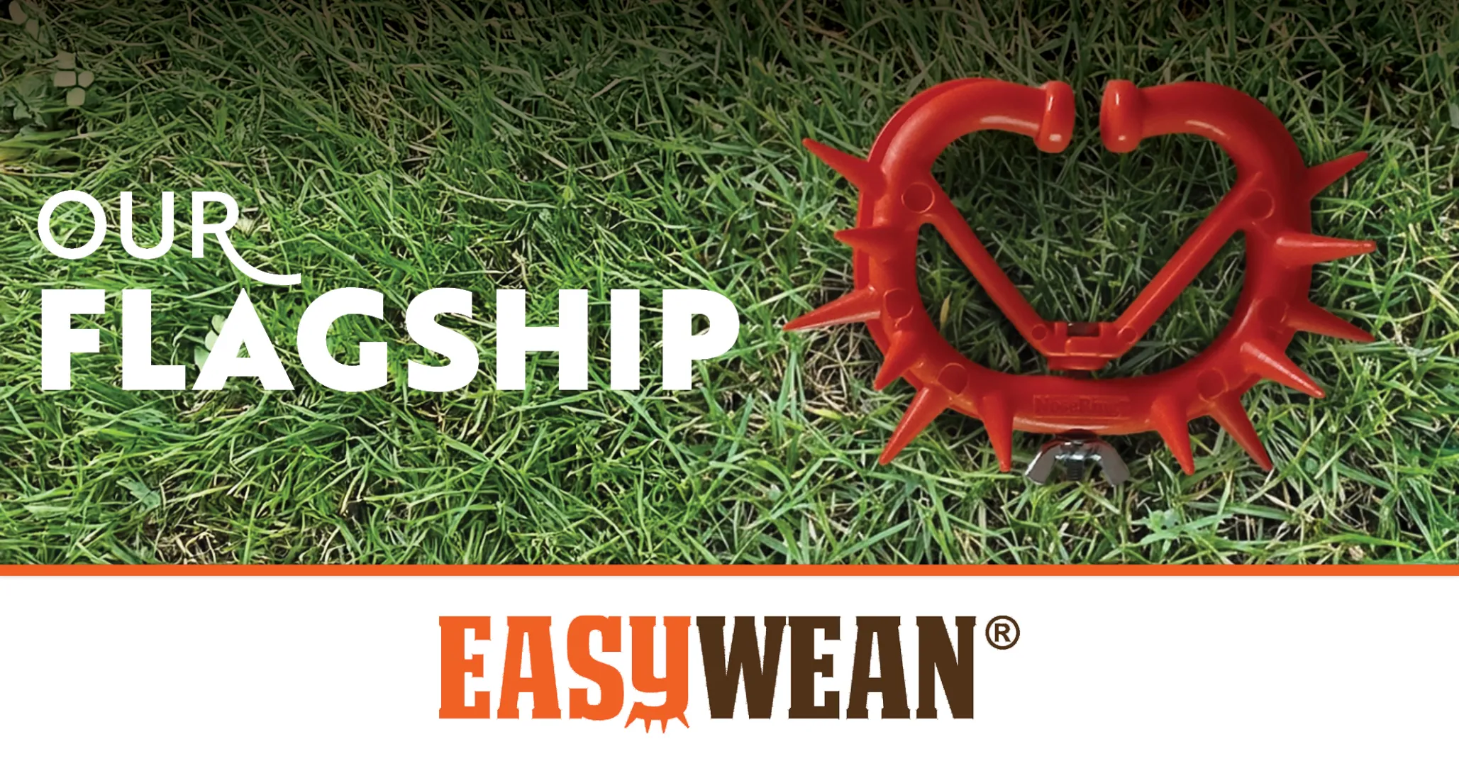 Stress-Free Weaning | Better Growth | EasyWean®