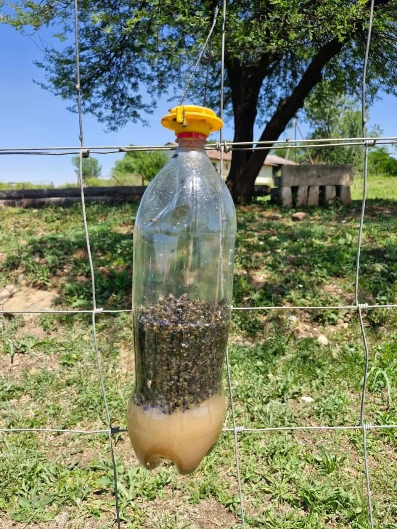 Usable Cap Fly (Bait) | Outdoor Innovation