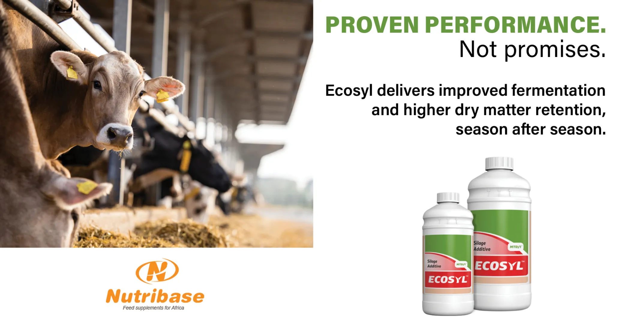 Proven Performance - Not Promises: Lock in Your Silage Quality with Ecosyl | Nutribase