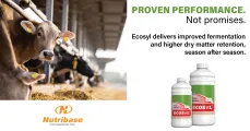 Proven Performance - Not Promises: Lock in Your Silage Quality with Ecosyl | Nutribase