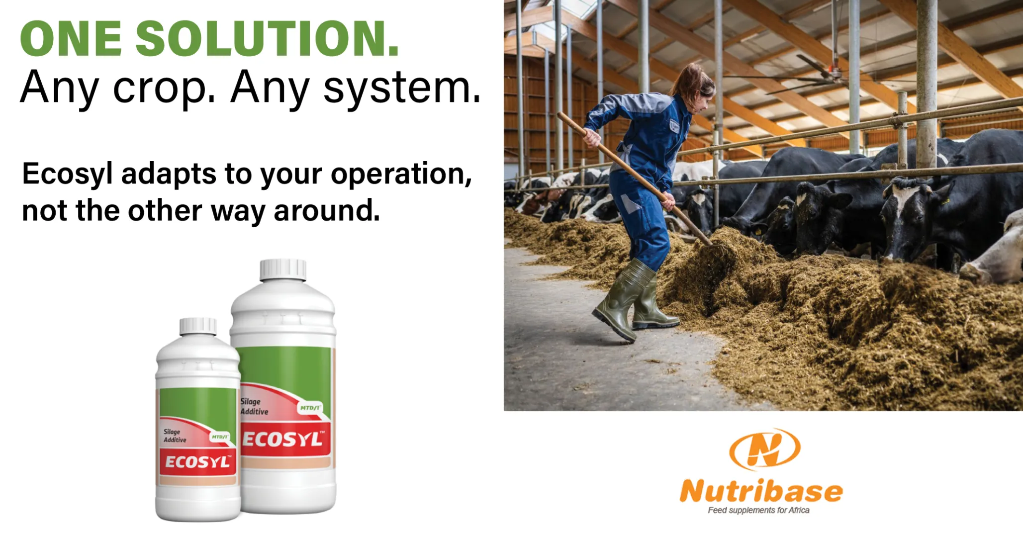 Ecosyl | One Solution for Any Crop and Any System | Nutribase